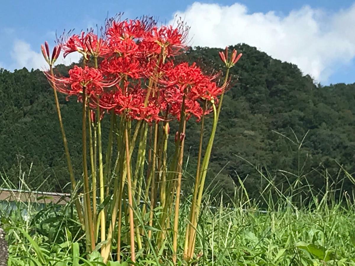 Kinugawa Club Hotel Kinsenkaku Нікко Екстер'єр фото